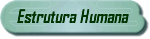 Estrutura Humana